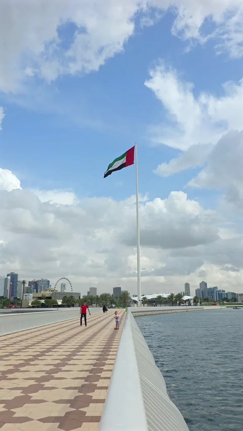 The national flag of the UAE waves over Sharjah during a cloudy day. 動画素材 332766671