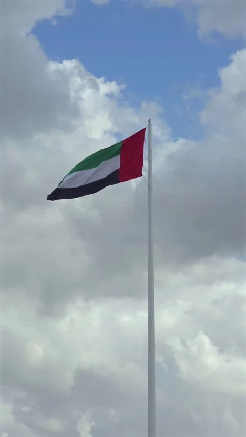 The national flag of the UAE waves over Sharjah during a cloudy day. 库存影片 332768857