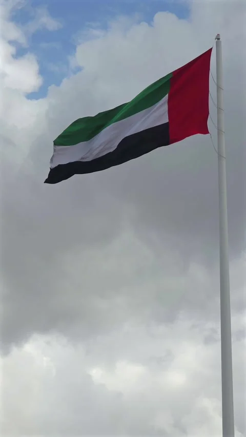 The national flag of the UAE waves over Sharjah during a cloudy day. 動画素材 332769410