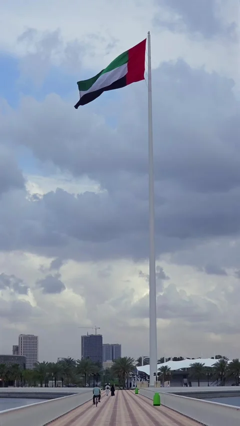 The national flag of the UAE waves over Sharjah during a cloudy day. 動画素材 332770021