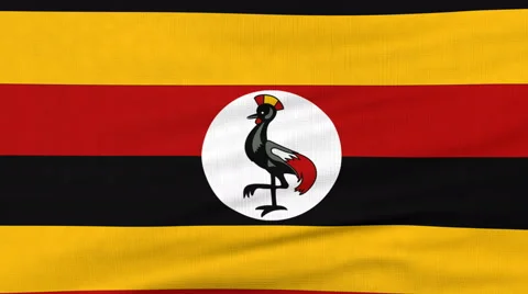 National flag of Uganda flying on the wind Stock Footage 65795693