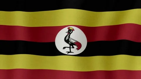 The national flag of Uganda Stock Footage 204708015