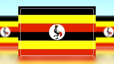 National flag of Uganda with horizontal black yellow and red stripes and a .. Video stock 343661296