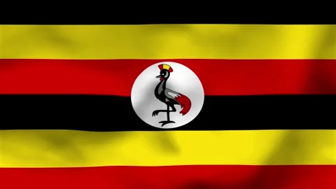 National flag of Uganda on wavy cloth. Features horizontal black, yellow, and Stock-Footage 335523985