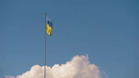 The national flag of Ukraine is developing in the wind Stock Footage 133352632