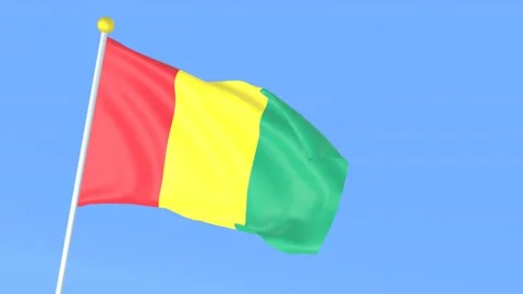 The national flag of the world, Guinea Stock Footage 209162954