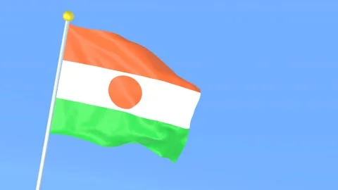 The national flag of the world, Niger Stock Footage 209162922
