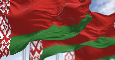 National flags of Belarus waving in the wind 스톡 일러스트