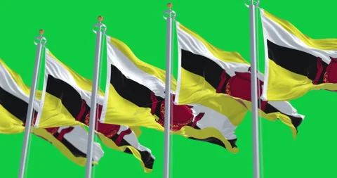 National flags of Brunei waving in the wind isolated on green background Stock Footage 333916809