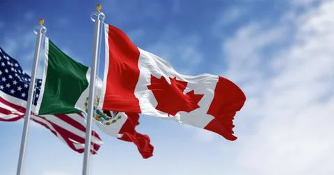 National flags of Canada Mexico and United States waving Stock Illustration
