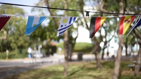 National flags of countries different colors fluttering in wind Stock Footage 221973613