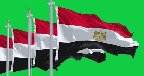 National flags of Egypt waving isolated on green background Stock Footage 296839870