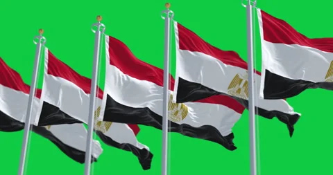 National flags of Egypt waving isolated on green background Stock-Footage 327027375