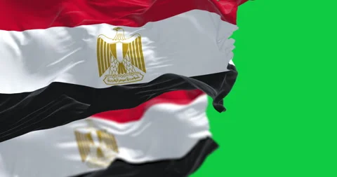National flags of Egypt waving isolated on green background Stock Footage 337879902