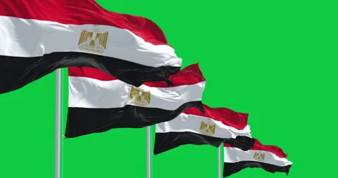 National flags of Egypt waving in the wind isolated on green background Stock-Footage 328597835