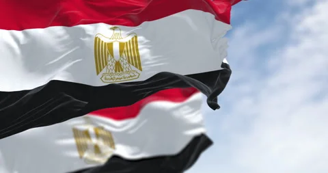 National flags of Egypt waving in the wind on a clear day Stock-Footage 332476134