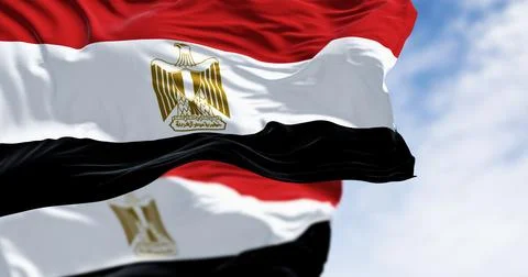 National flags of Egypt waving in the wind on a clear day Stock Illustration