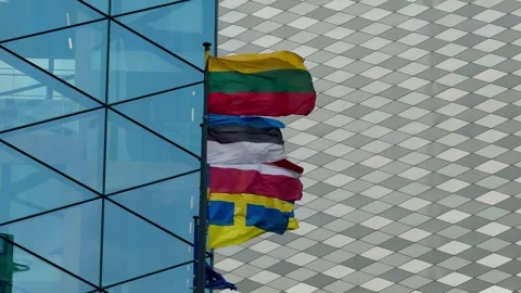 National flags of EU countries waving in wind near modern facade in Vilnius Stock Footage 310796913