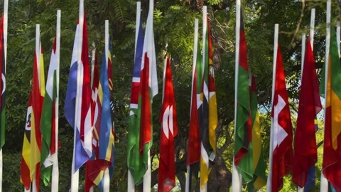 National flags Stock Footage 142368957