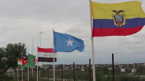 National flags of many countries on the beach by the fence Stock Footage 51768756