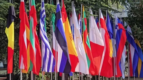 National flags on poles Stock Footage 345103256