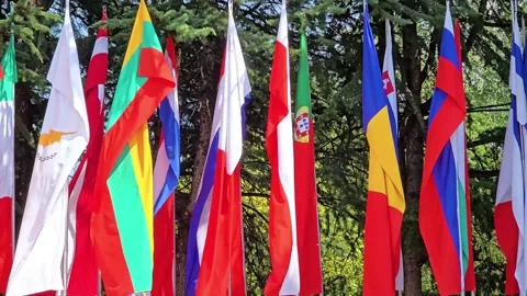 National flags on poles Stock Footage 345103258