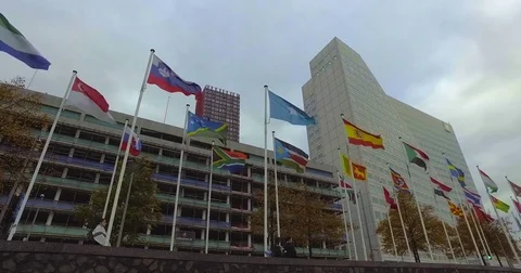 National flags waving in the wind. Flags from all over the world Stock Footage 81021494