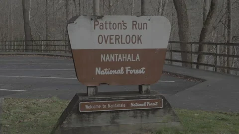 National Forest Stock Footage 168215376