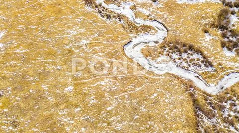 National Forest Stock Photos