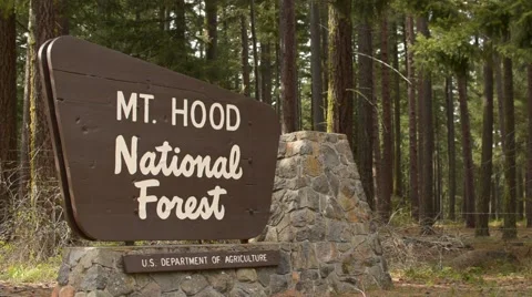 National Forest sign Stock Footage 66512792