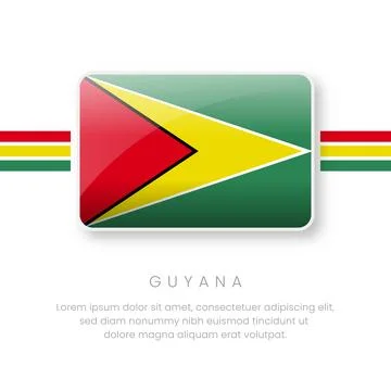 National Guyana Flag.Vector Guyana Button Flag. Realistic National Flag Des.. 스톡 일러스트