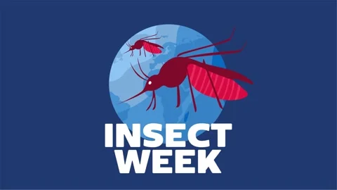 National insect week for insect conservation Stock Footage 327106277