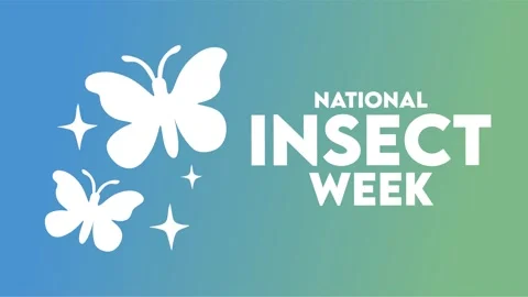 National insect week for insect conservation Stock Footage 327106306