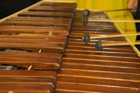 National instrument of Guatemala made with Hormigo wood the marimba keyboard. Stock Photos