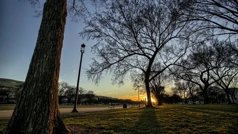 National Mall motion timelapse Stock-Footage 82390128