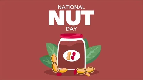 National Nut Day Stock Footage 306993934
