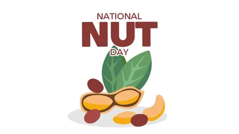 National Nut Day Stock Footage 306993949