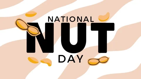 National Nut Day Stock Footage 306993981