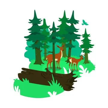 National park 2D vector web banner, poster Ilustração Stock