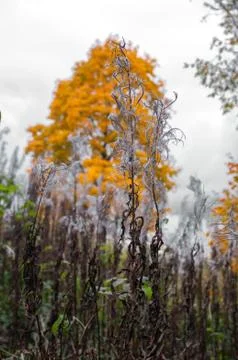 National park in autumn time Stock Photos
