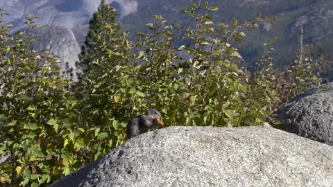 National park Stock Footage 145387736