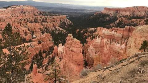 At a National Park Video stock 172230695