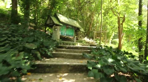 National park forest pathway Video stock 21811204