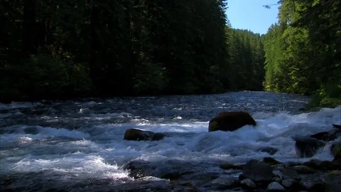 National park forest stream Stock Footage 74091566