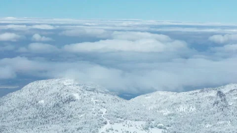 National park, forest trees, winter background snow, winter background, tourism Video stock 267694876