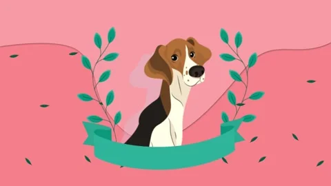 National Pet day Background Loop Stock Footage 341878540