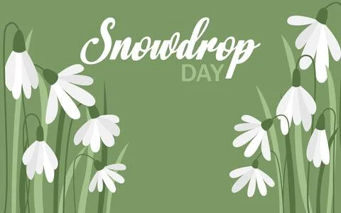 National Snowdrop Day template Vector graphic Stock Illustration