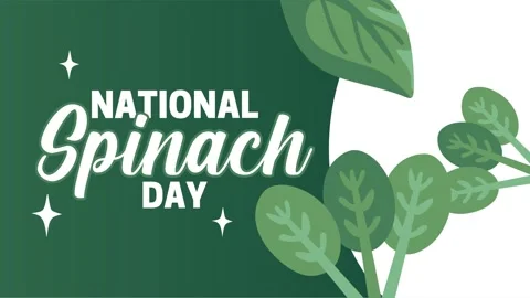 National Spinach Day for spinach lovers Stock Footage 345545466