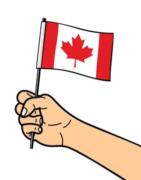 The national symbol of the flag of Canada, isolated on a white background. Na Stock Illustration