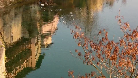 Natisone river, water, gold houar, Cividale del Friuli, Cinemagraph, Ponte de Stock Footage